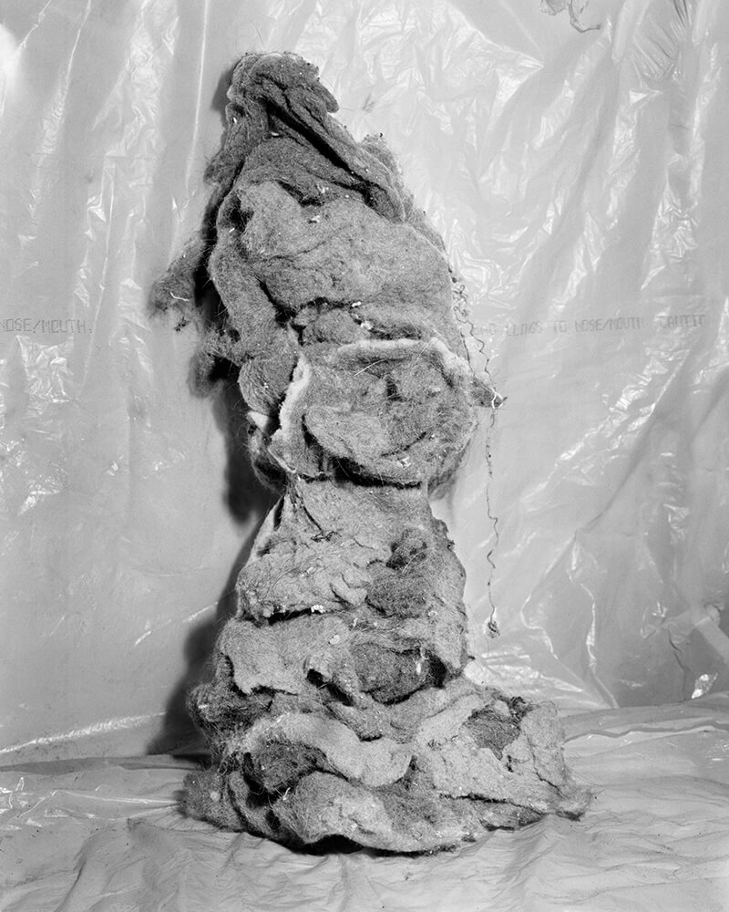 Moons Over a Trash Heap - Curtis Hamilton - Phases Magazine