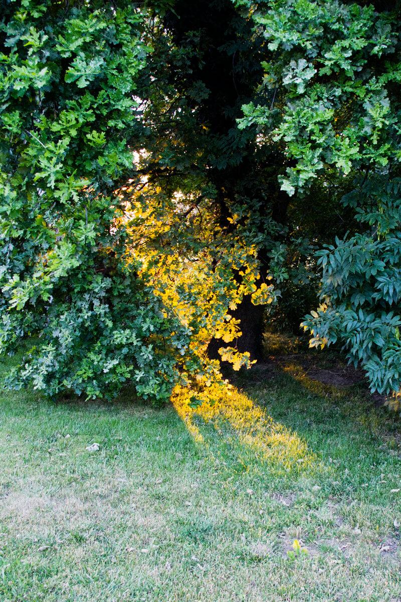 Discreet Phenomena - Jordane Prestrot - Phases Magazine