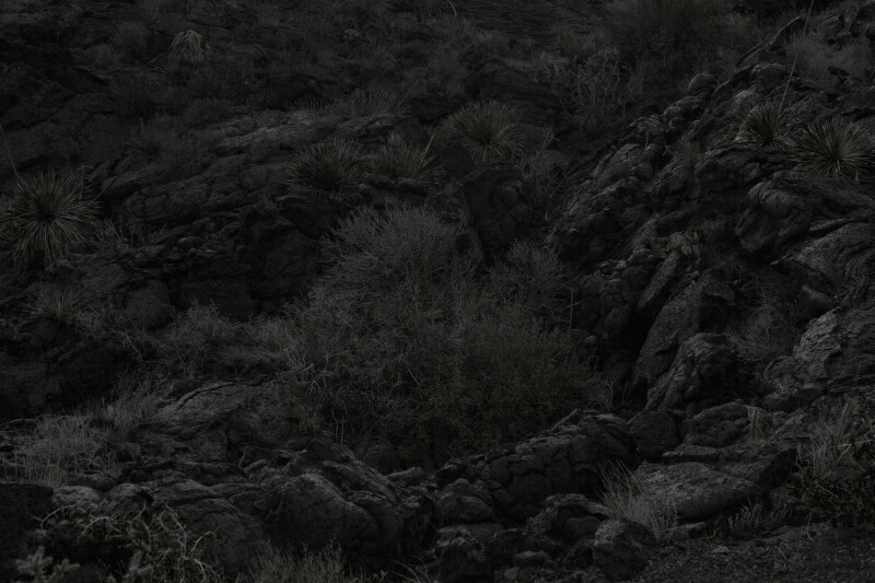 Woods The Walls and Wells - Goseong Choi - Phases Magazine