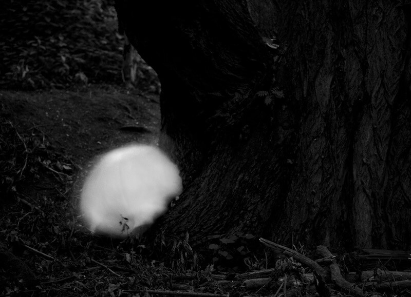 Light Forms, Grey Forms, Dark Forms - Aleksei Kazantsev - Phases Magazine