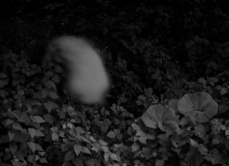 Light Forms, Grey Forms, Dark Forms - Aleksei Kazantsev - Phases Magazine