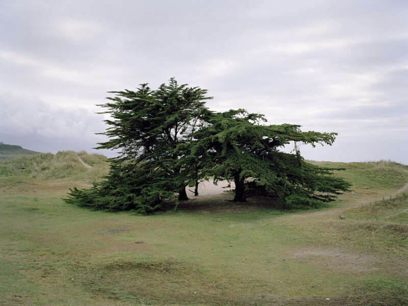 Murs de l’Atlantique - Julie Hascoët - Phases Magazine