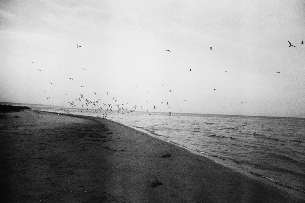 Lightness, Heaviness, Paradoxes, Emotionally Involved, Distracted - Margaret Durow - Phases Magazine