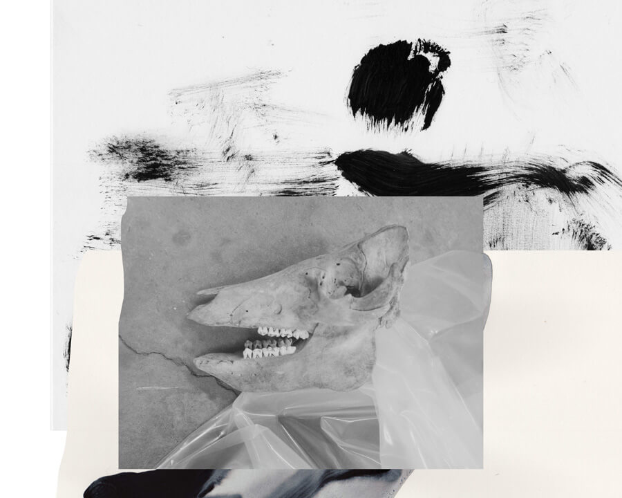 Lost Property Office - Emilie Lindsten - Phases Magazine