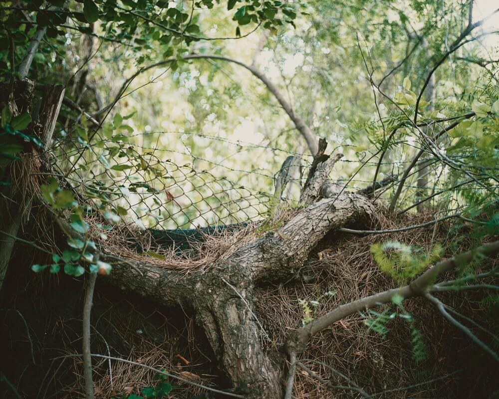 The Green Curtain - Salva López - Phases Magazine