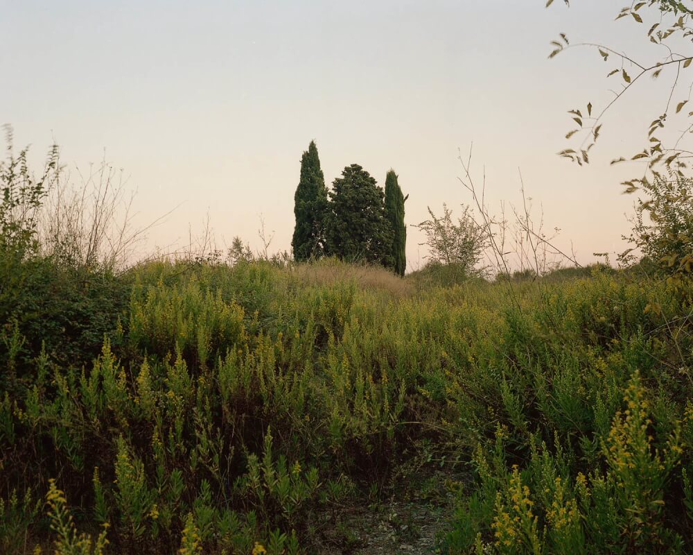 The Green Curtain - Salva López - Phases Magazine