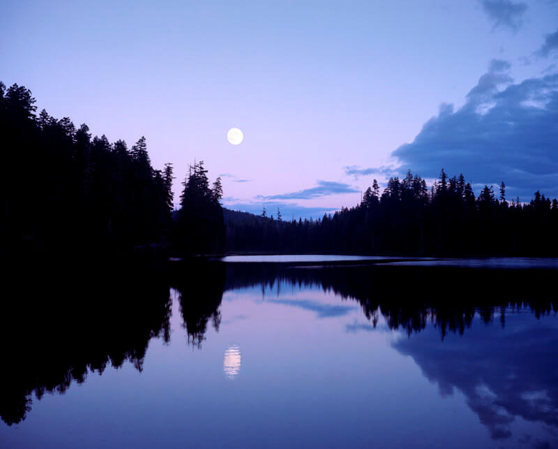 Vancouver Island - Hudson Hayden - Phases Magazine
