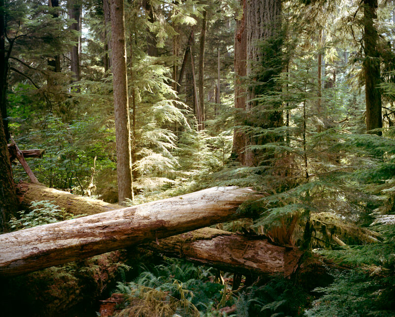 Vancouver Island - Hudson Hayden - Phases Magazine