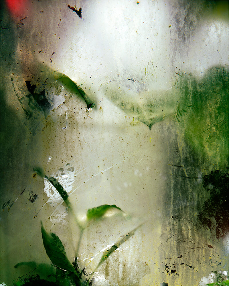 Winterless Skies - Alice Myers - Phases Magazine