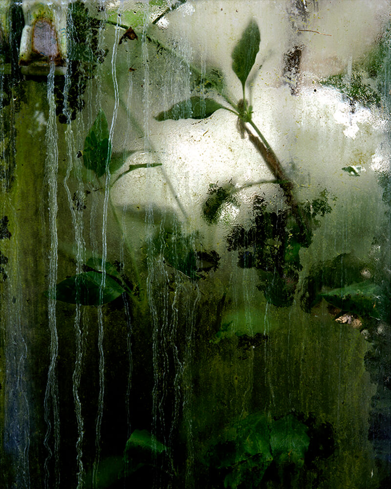 Winterless Skies - Alice Myers - Phases Magazine