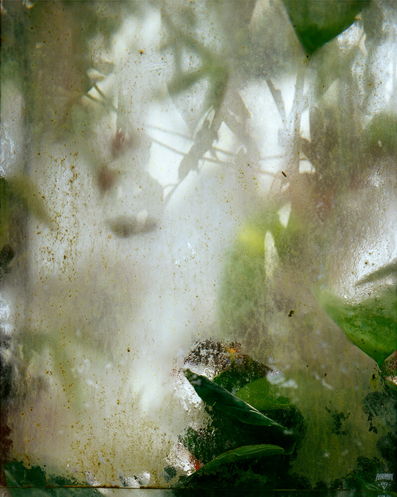 Winterless Skies - Alice Myers - Phases Magazine