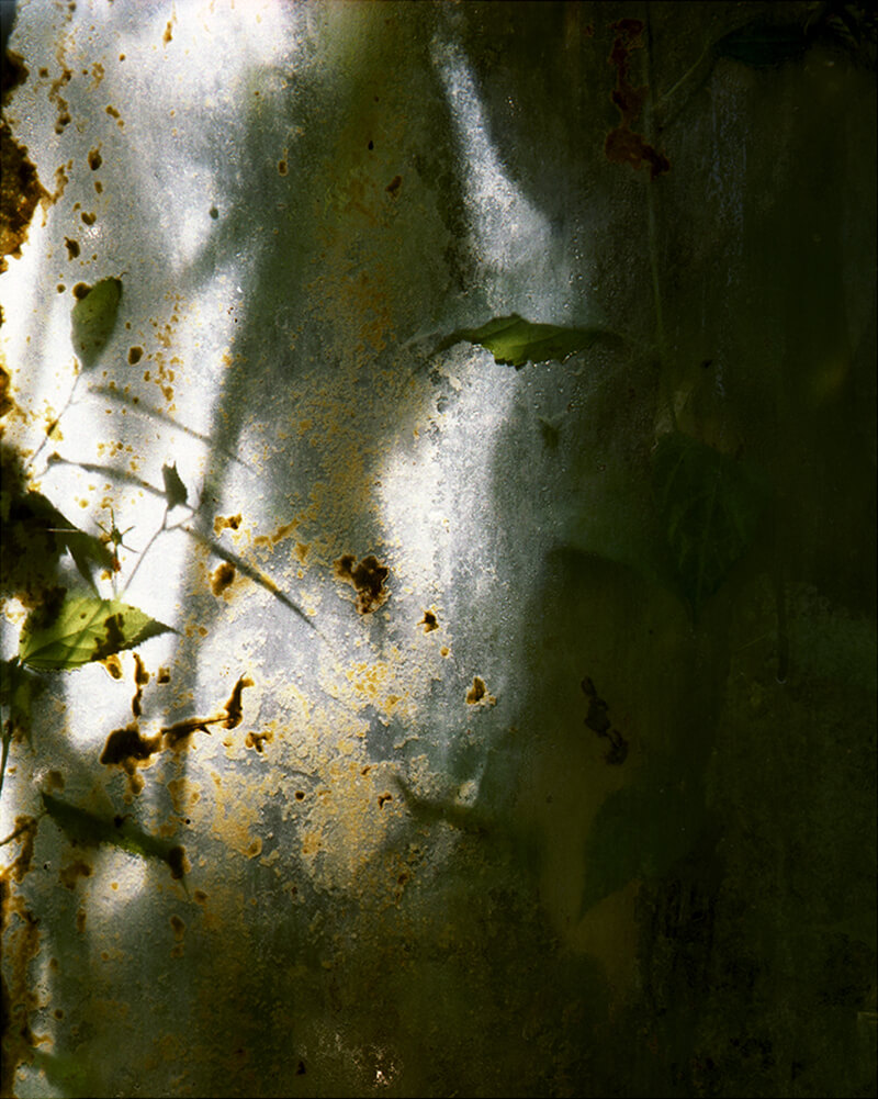 Winterless Skies - Alice Myers - Phases Magazine