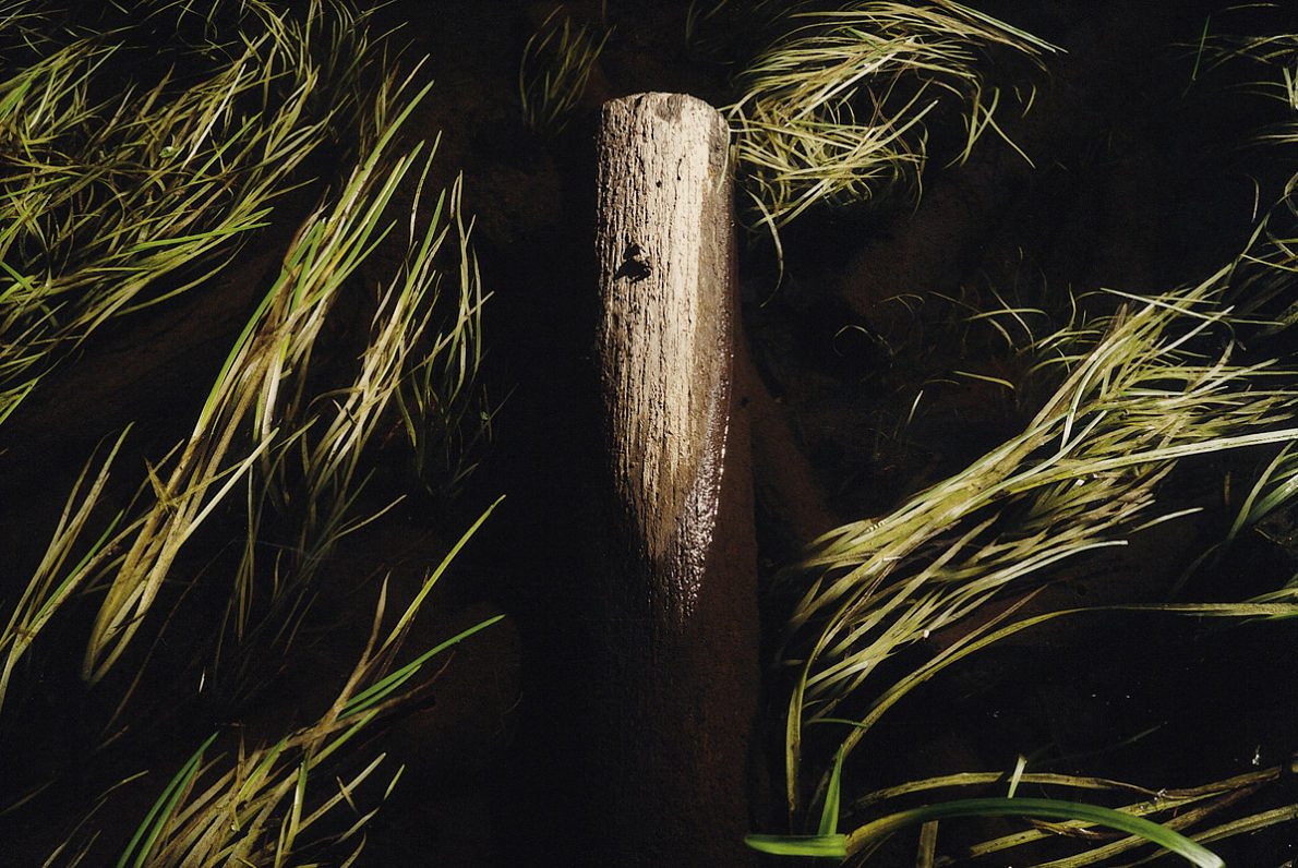 Quiet Afternoons - Normand Rajotte - Phases Magazine