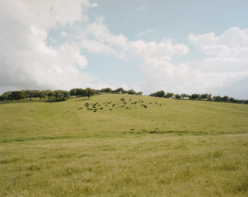 Country Fictions - Juan Aballe - Phases Magazine