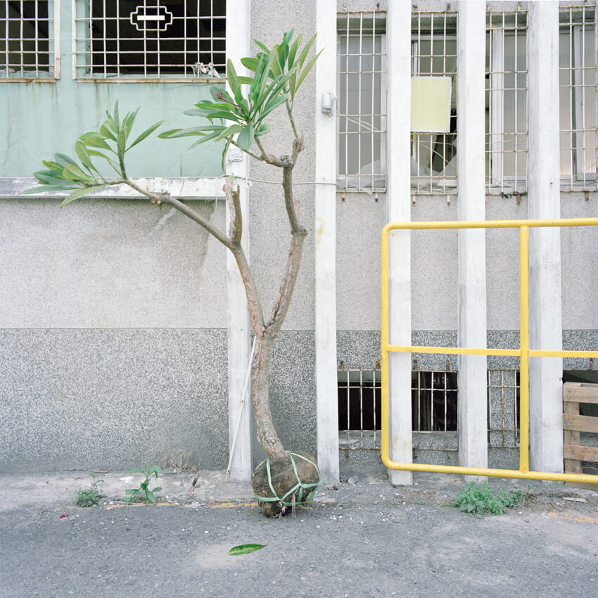 Performing Grounds - Patrick Morarescu - Phases Magazine