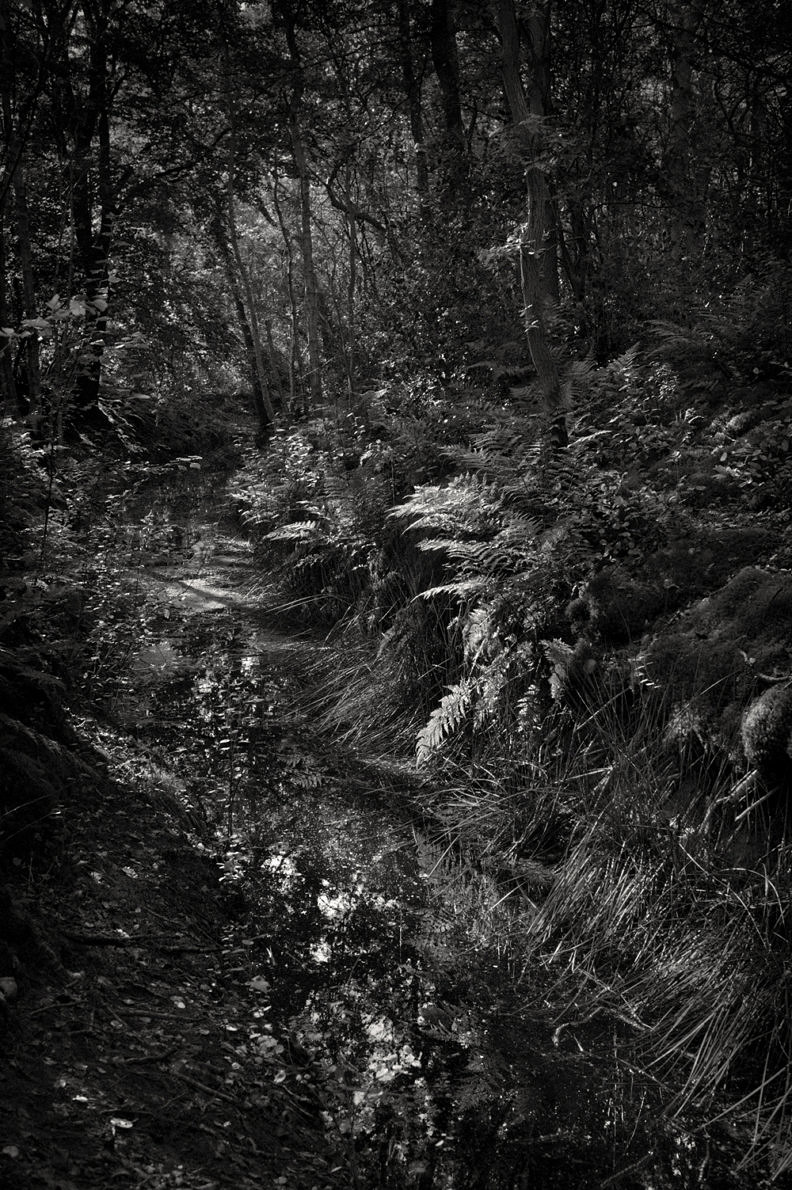 Rise & Fall - Mark Nettenbreijers - Phases Magazine