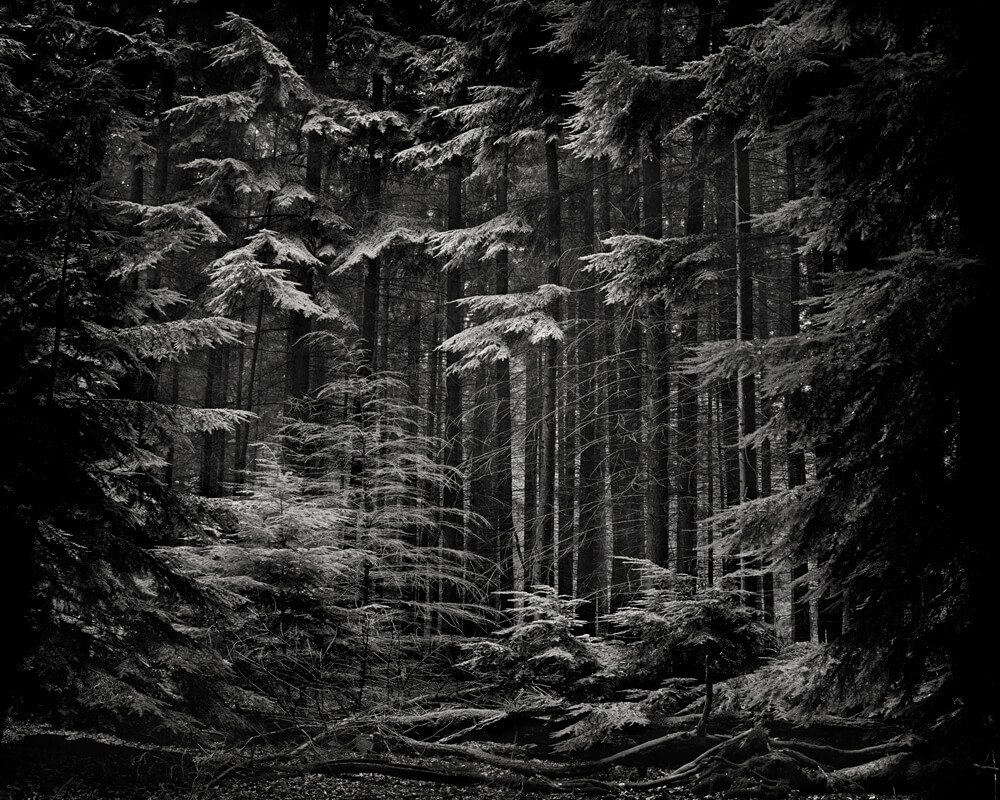 Rise & Fall - Mark Nettenbreijers - Phases Magazine