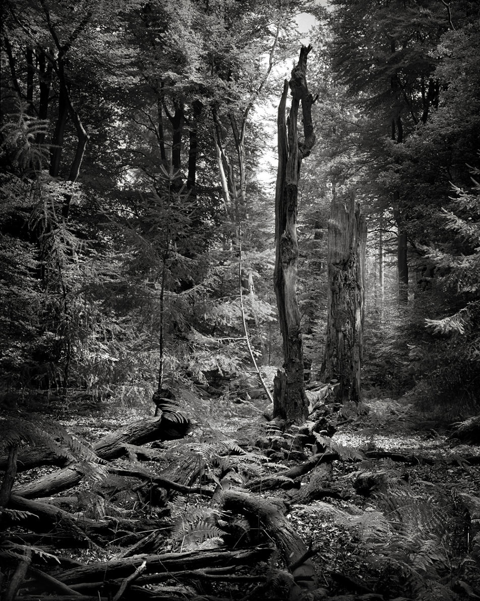 Rise & Fall - Mark Nettenbreijers - Phases Magazine