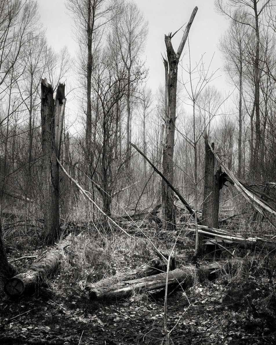 Rise & Fall - Mark Nettenbreijers - Phases Magazine