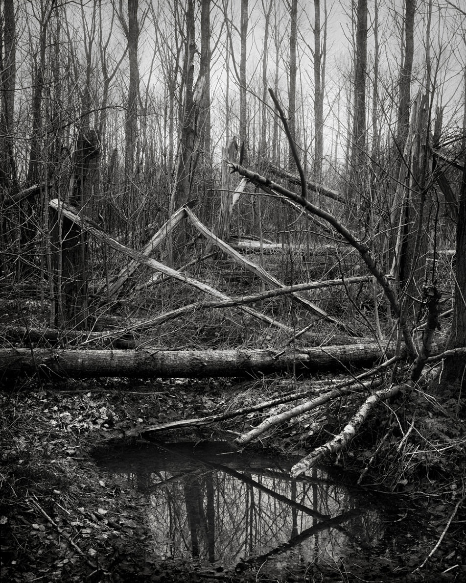 Rise & Fall - Mark Nettenbreijers - Phases Magazine