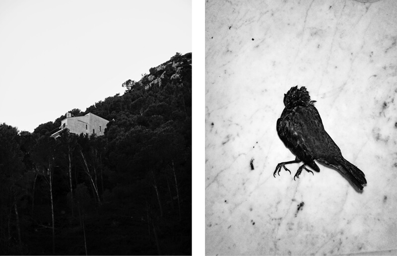 Transmontanus - Salvi Danés - Phases Magazine
