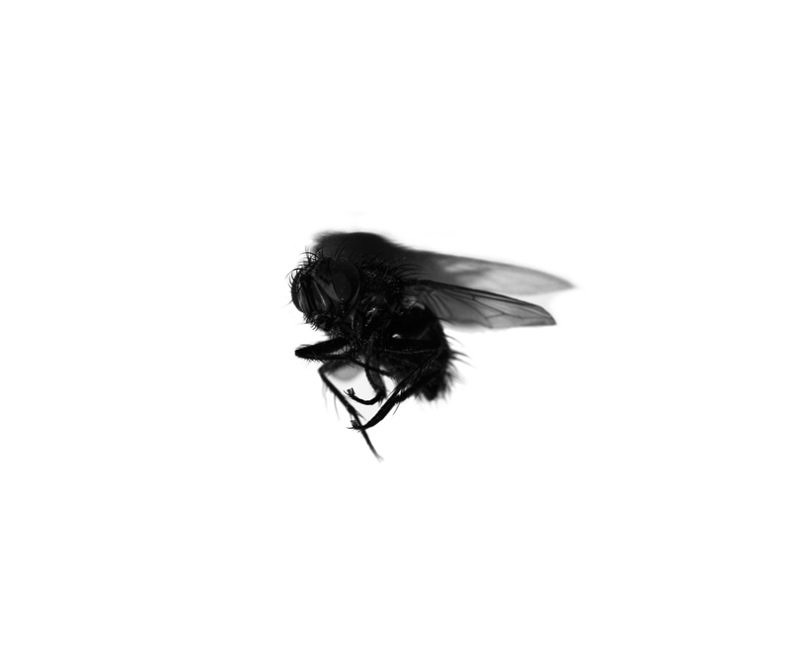 Aleix Plademunt - Almost There - Phases Magazine