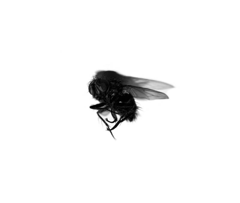Almost There - Aleix Plademunt - Phases Magazine