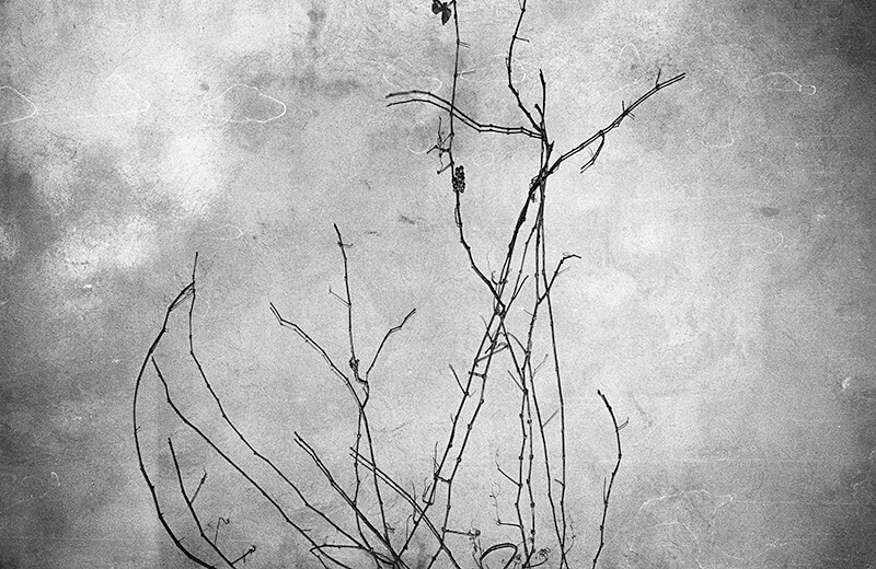 Inflexible Forms - Amelia Rina - Phases Magazine