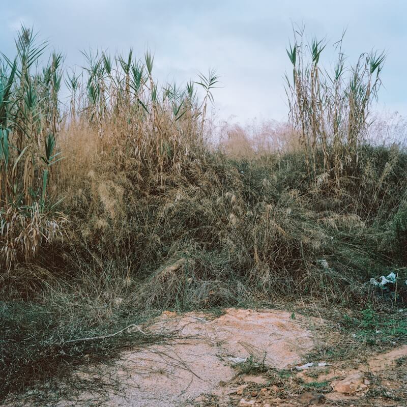 Lost Strange Things: On not finding home - Tanya Traboulsi - Phases Magazine