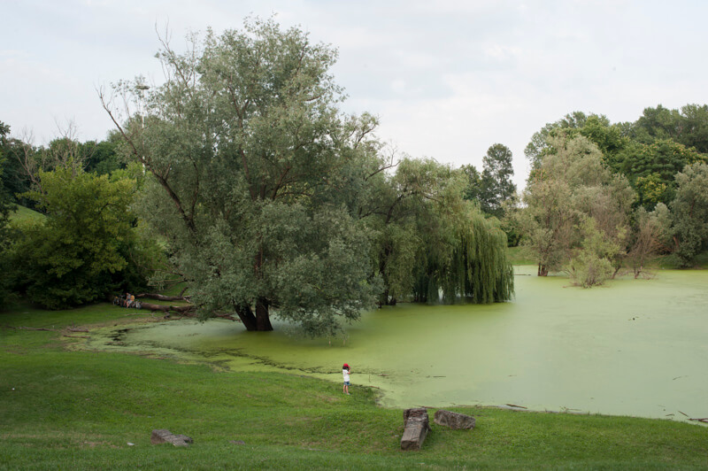 As long as there’s a lawn - Roberto Boccaccino - Phases Magazine