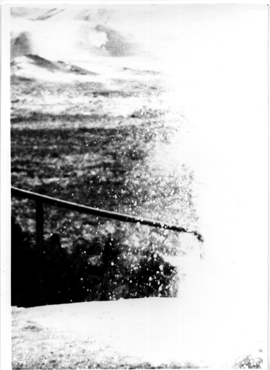 Medula - Camilo Amaya - Phases Magazine