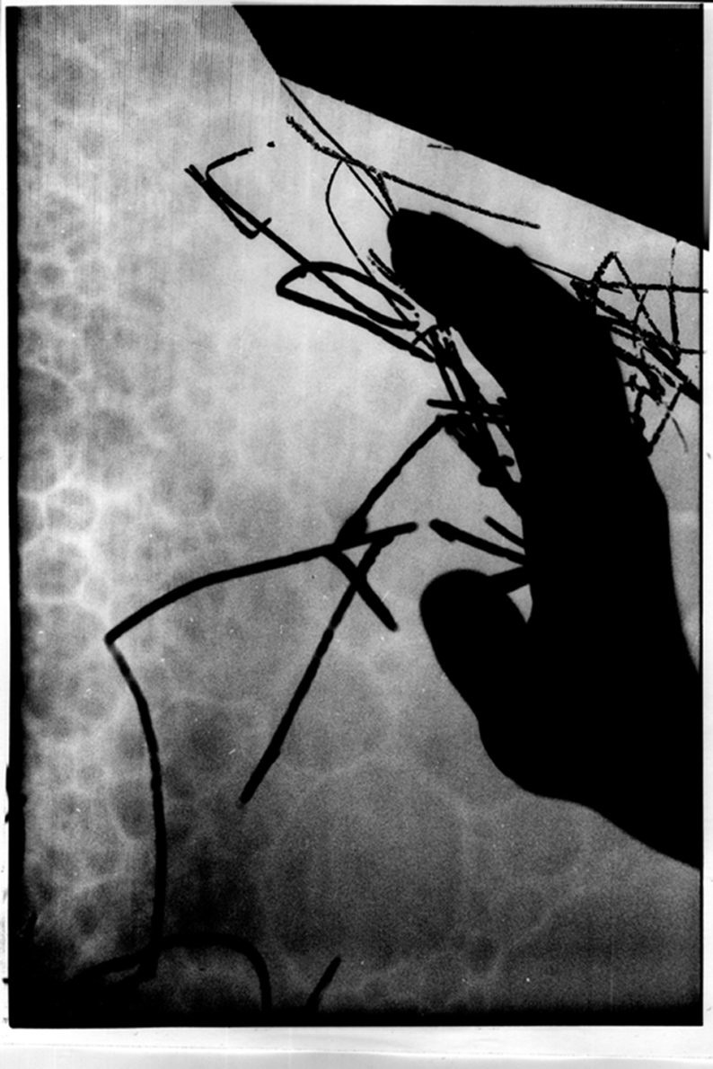 Medula - Camilo Amaya - Phases Magazine
