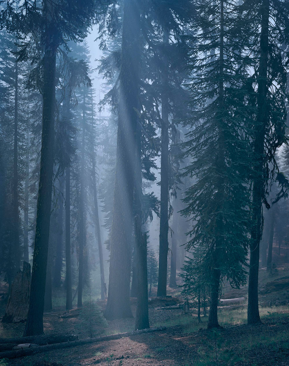 Sublime Cultivation - Christopher Rodriguez - Phases Magazine
