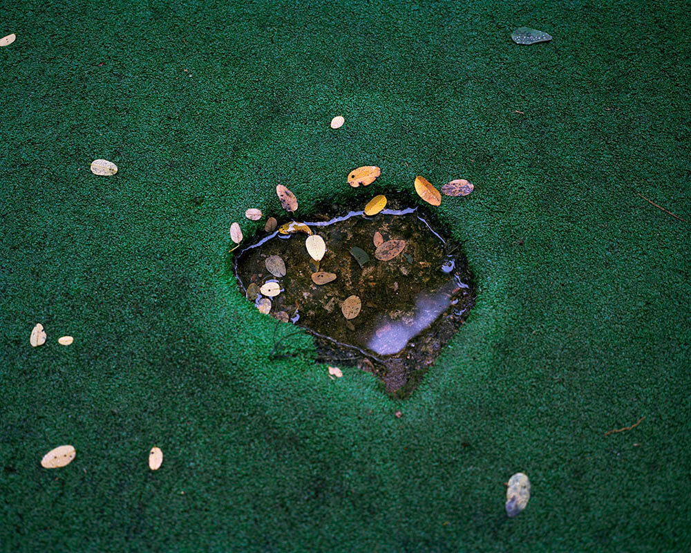Sublime Cultivation - Christopher Rodriguez - Phases Magazine