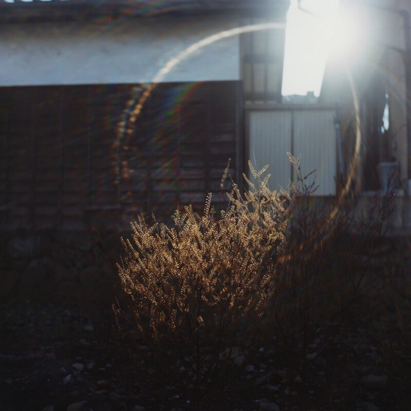 The Views of Magic Lantern - Sachiko Kawanabe - Phases Magazine