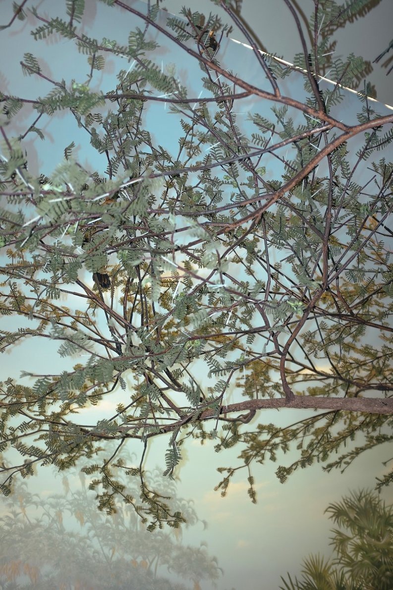 Offcut, the Edge - Zhao Qian - Phases Magazine