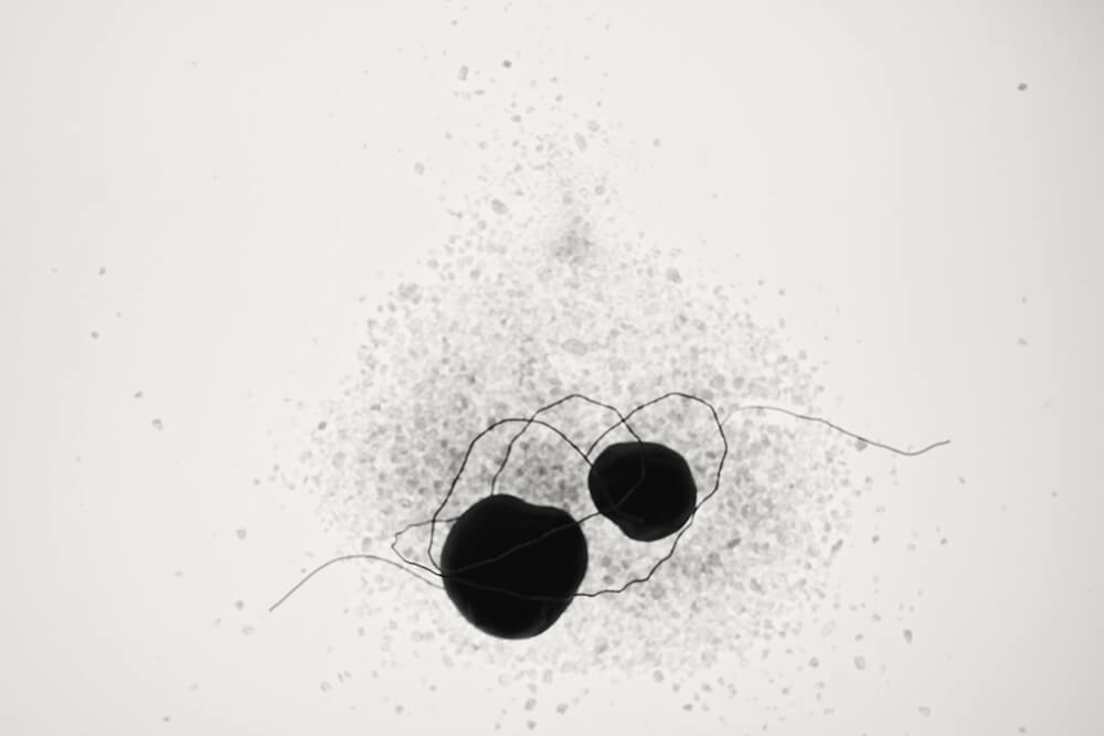 Wiredscapes - Gonzalo Bénard - Phases Magazine