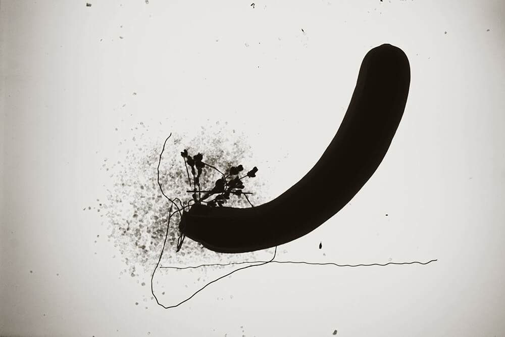 Wiredscapes - Gonzalo Bénard - Phases Magazine