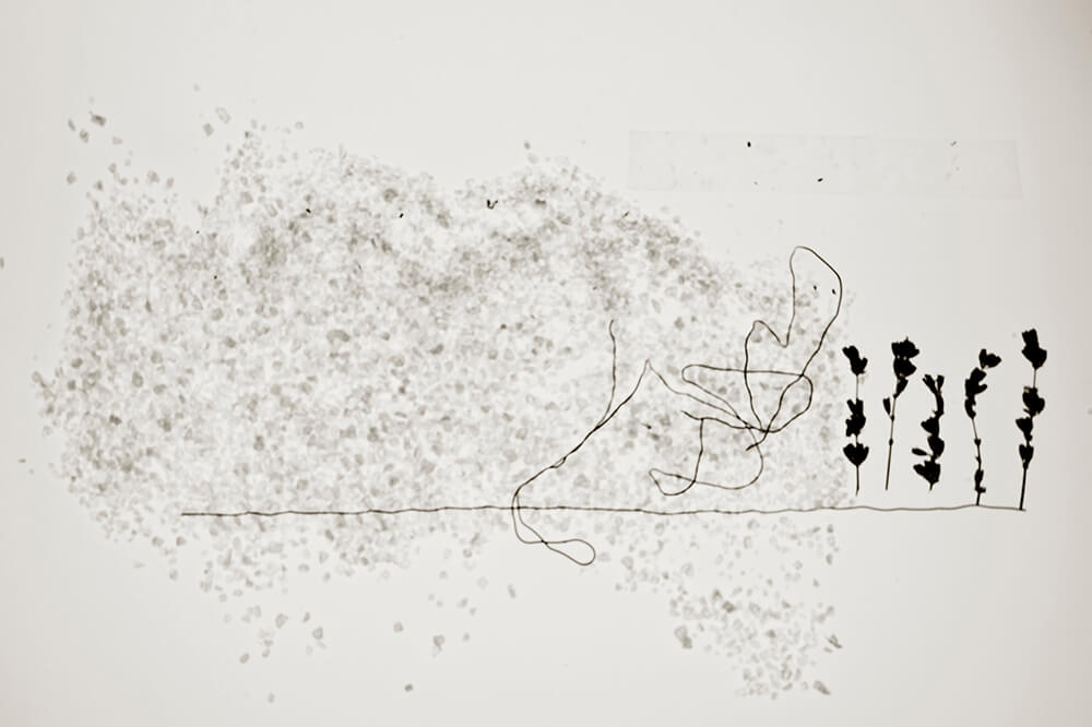Wiredscapes - Gonzalo Bénard - Phases Magazine