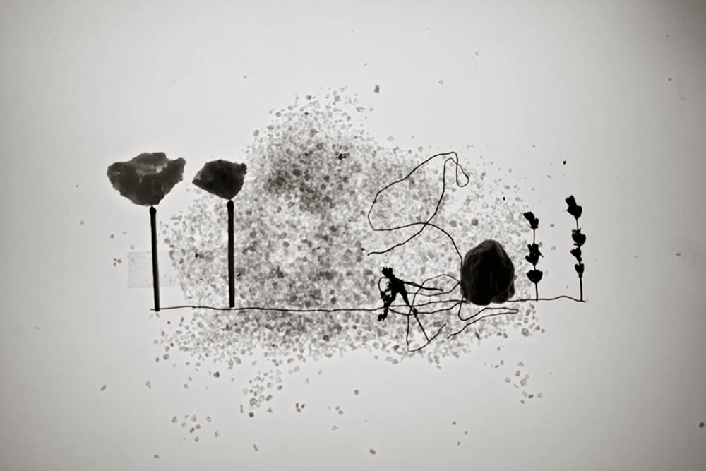 Wiredscapes - Gonzalo Bénard - Phases Magazine