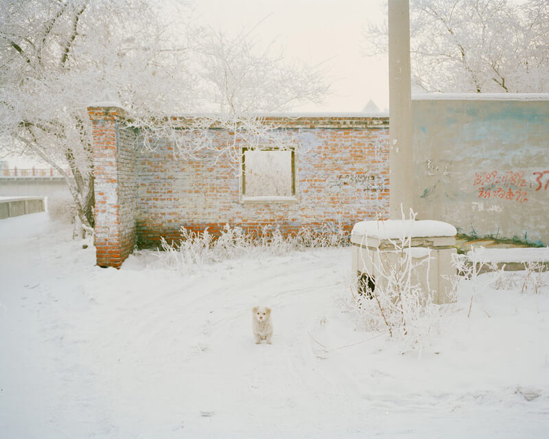 Latitude of Silence - You Li - Phases Magazine