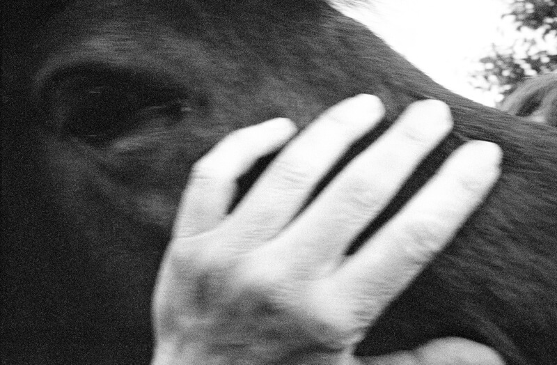 I am here when you are here - Sissel Thastum - Phases Magazine