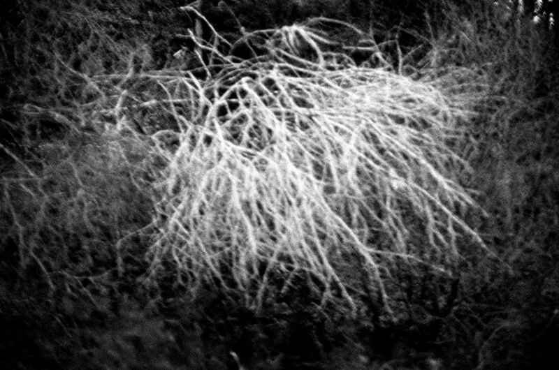 I am here when you are here - Sissel Thastum - Phases Magazine