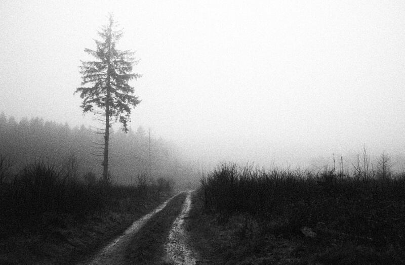 I am here when you are here - Sissel Thastum - Phases Magazine
