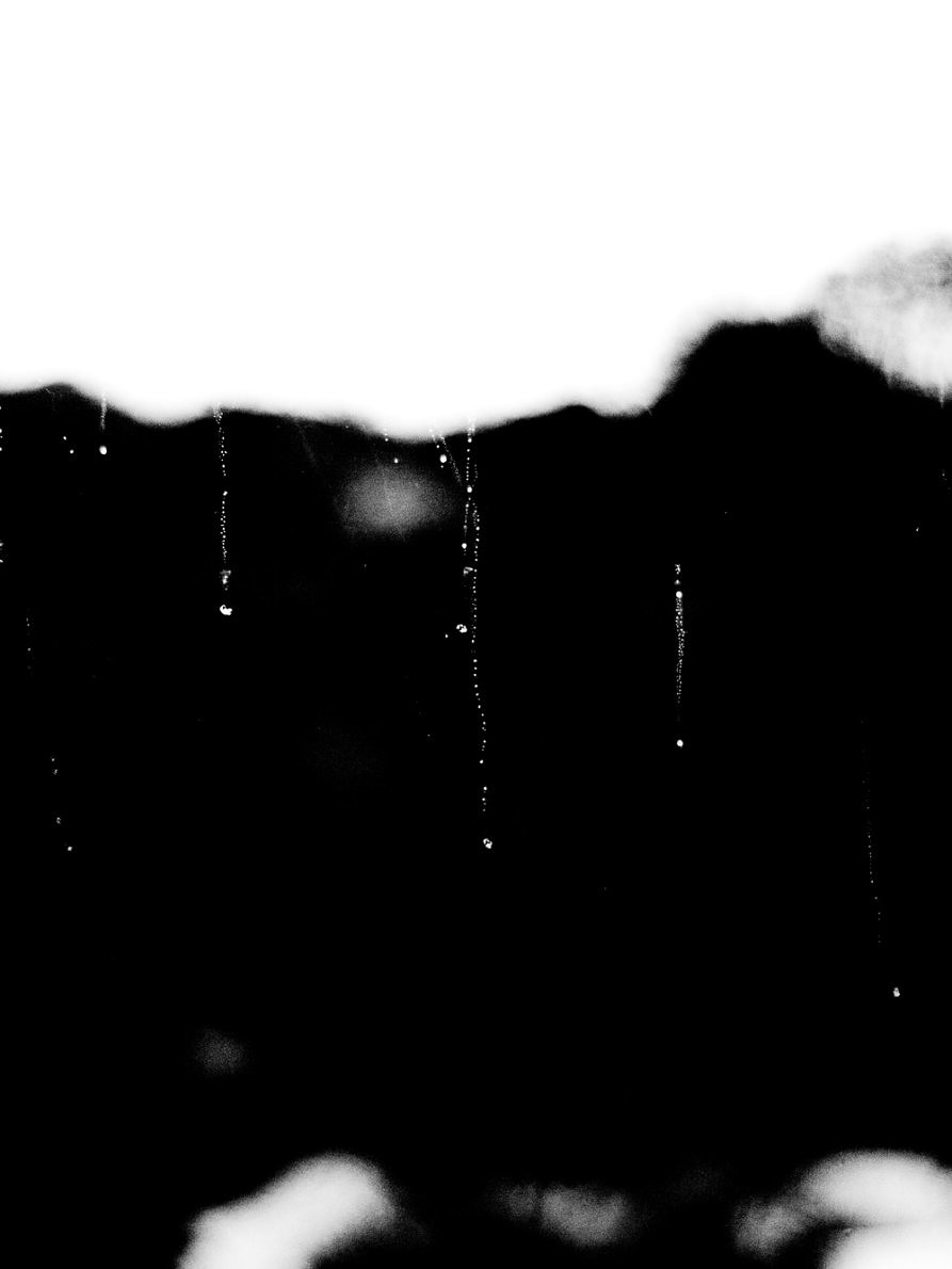 Das Innere (Sulphur) - Alexander Binder - Phases Magazine