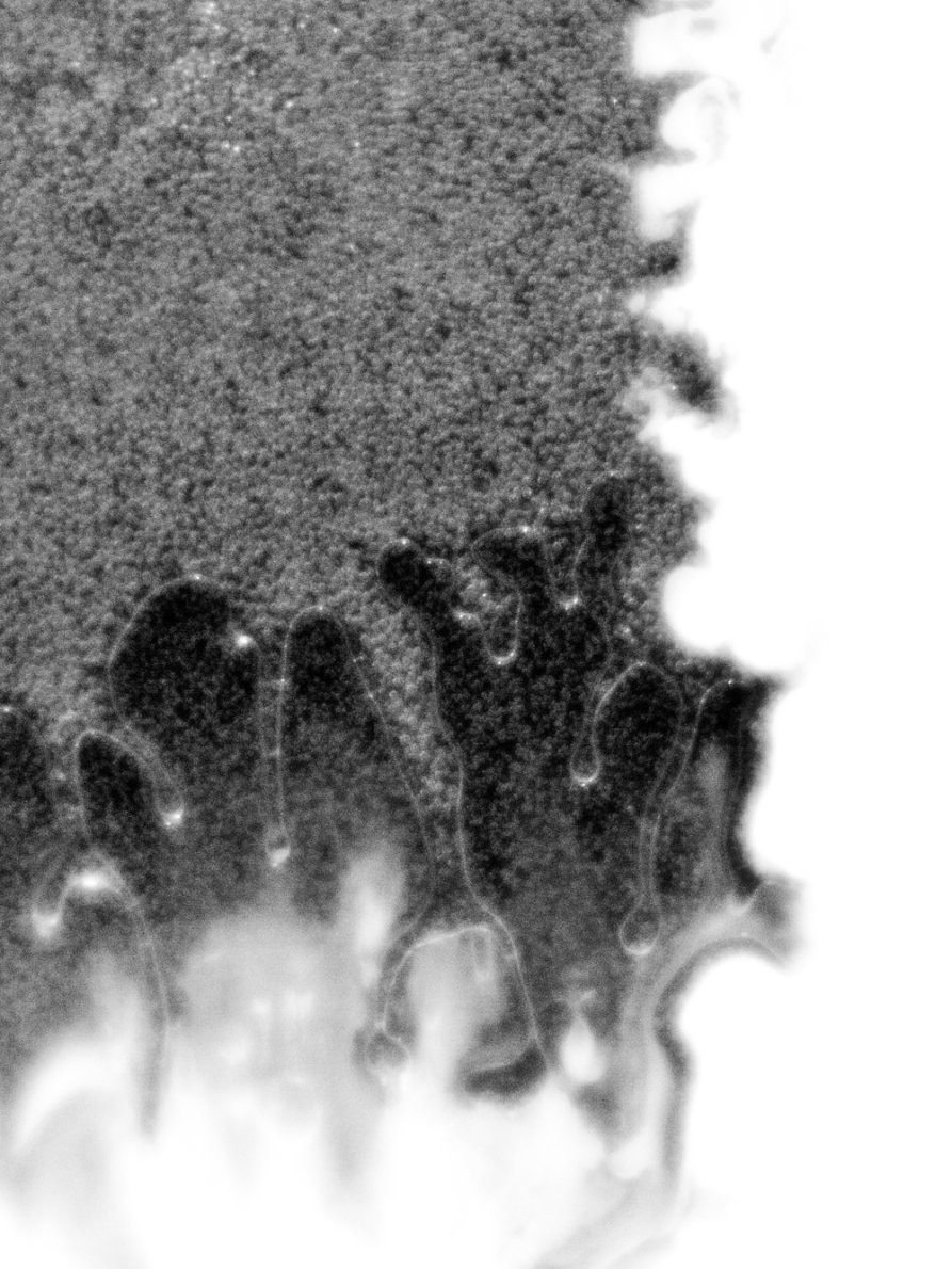 Das Innere (Sulphur) - Alexander Binder - Phases Magazine
