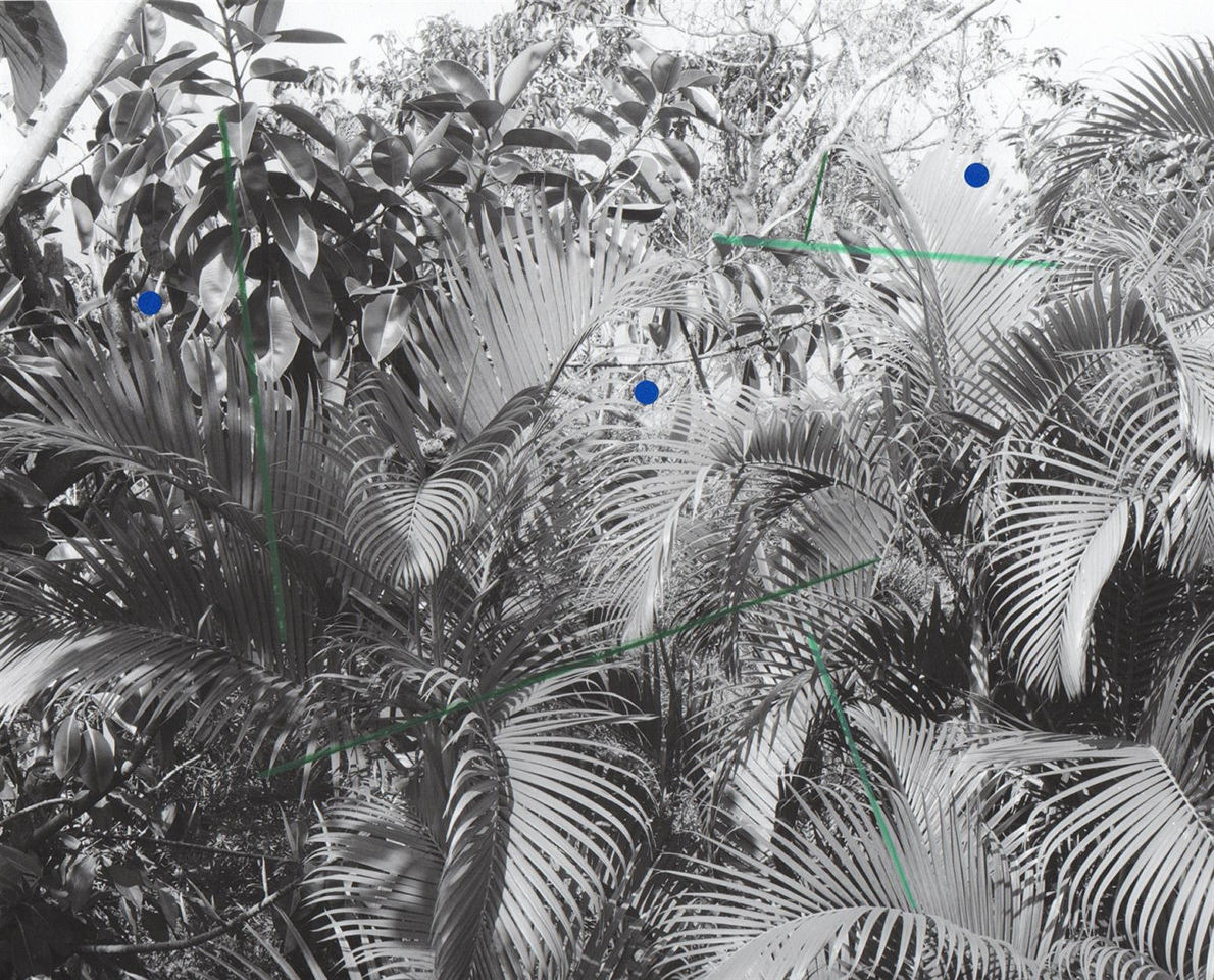 Nest - Alice Quaresma - Phases Magazine
