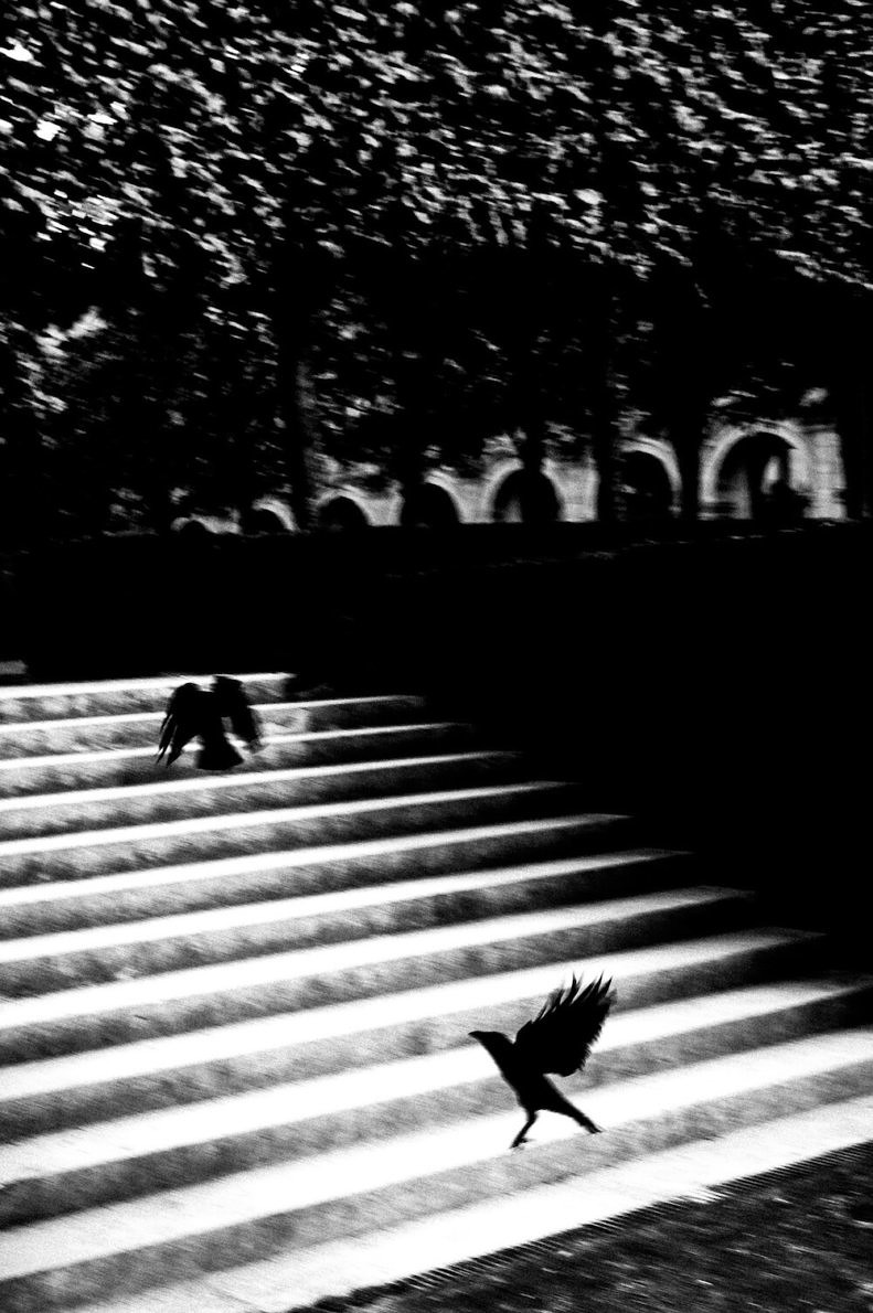 White Noise Black Mirror - David Molina Gadea - Phases Magazine