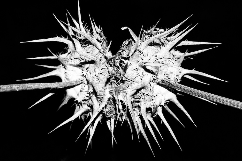White Noise Black Mirror - David Molina Gadea - Phases Magazine