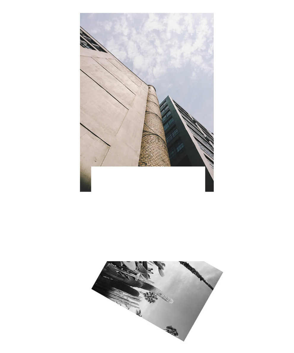 Scroll - Jasper Jones - Phases Magazine